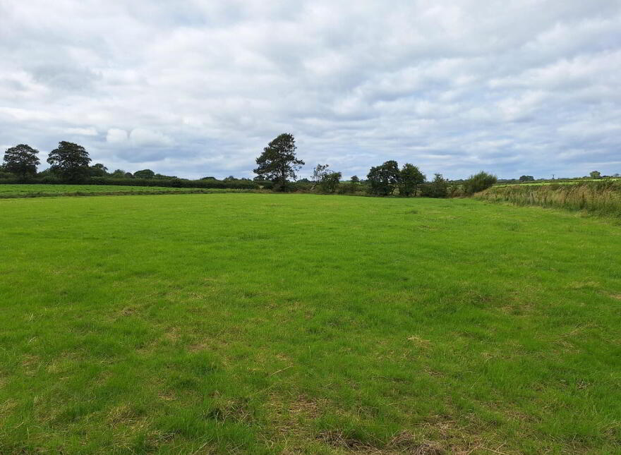 Attractive Agricultural Land, Kilmoyle Road, Ballymoney, BT53 6NR
