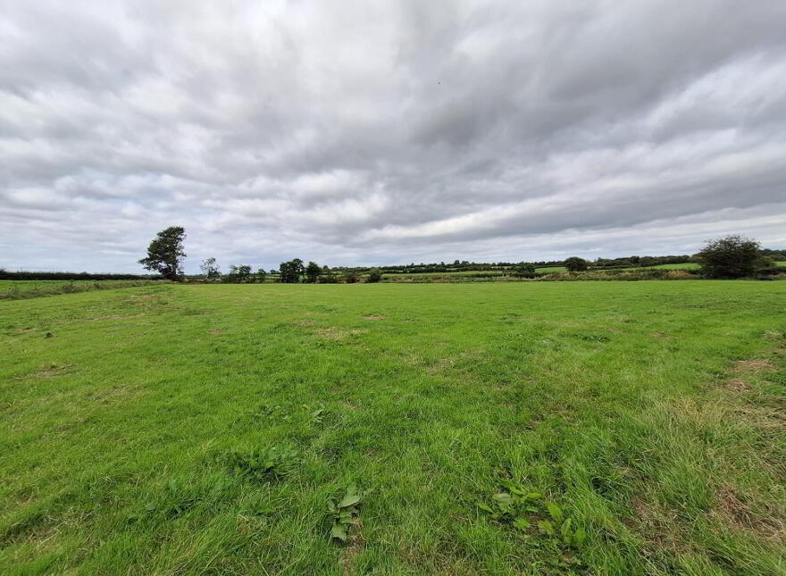Attractive Agricultural Land, Kilmoyle Road, Ballymoney, BT53 6NR