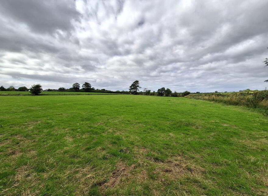 Attractive Agricultural Land, Kilmoyle Road, Ballymoney, BT53 6NR