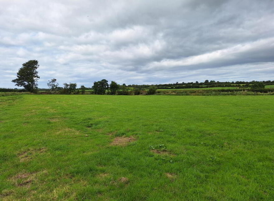 Attractive Agricultural Land, Kilmoyle Road, Ballymoney, BT53 6NR