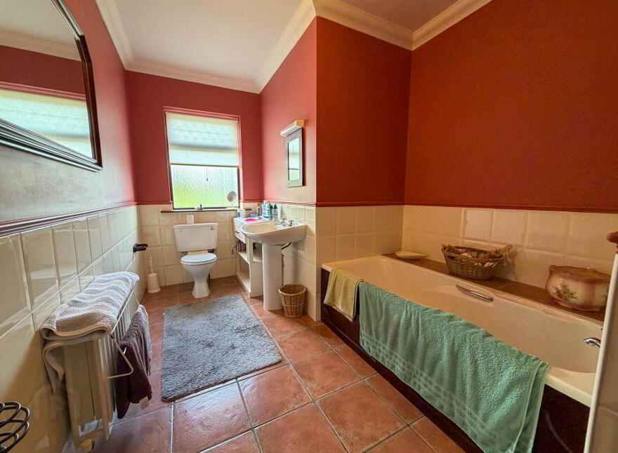 Ballybane, Camas, Bruff, V35K257