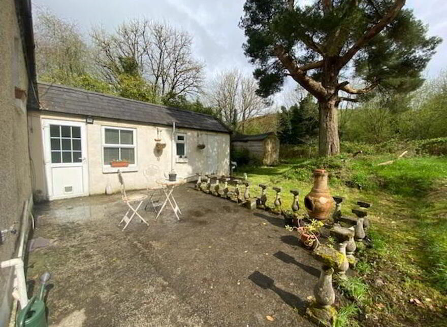 Matiebien, Martinstown, Collinstown, Fore, N91YT73