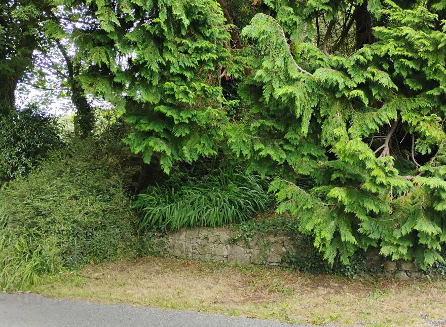 Matiebien, Martinstown, Collinstown, Fore, N91YT73