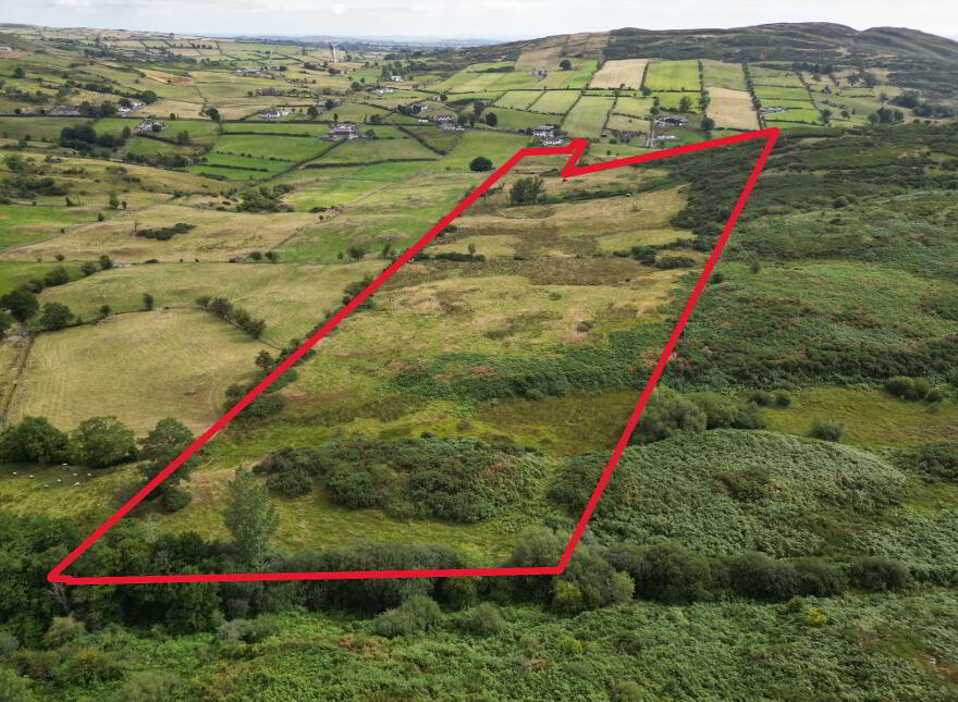 Ribadoo Road, Ballyward, Castlewellan, BT31 9SX