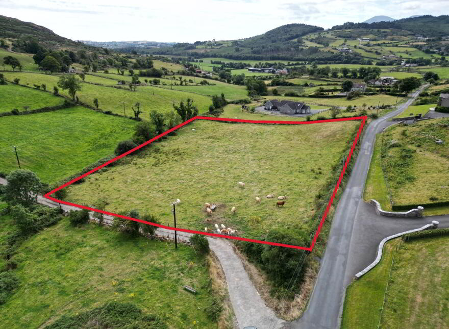 Ribadoo Road, Ballyward, Castlewellan, BT31 9SX