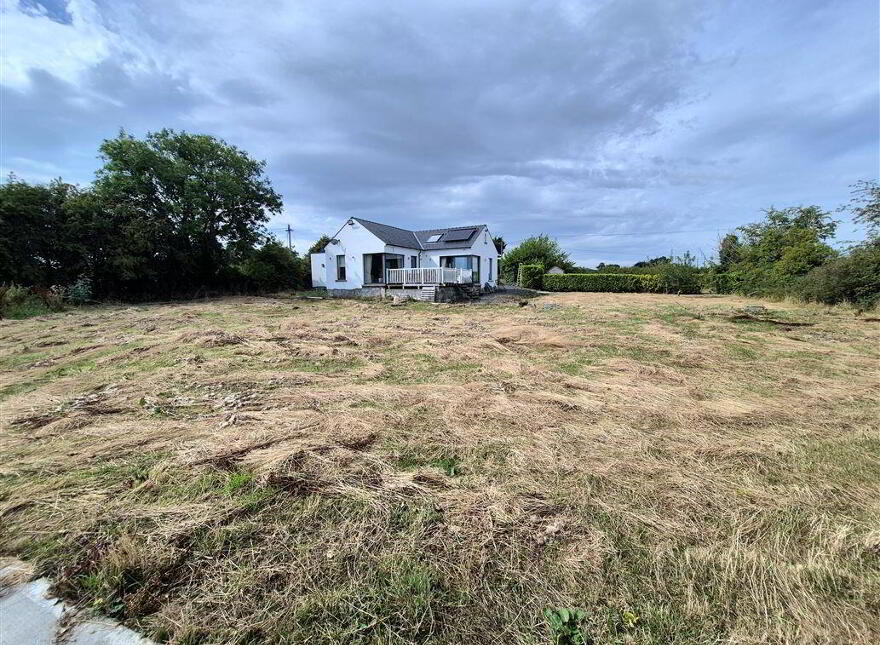 Painestown, Dromin, Dunleer, A92N226