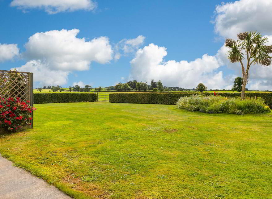 Dean Hill, Hayestown, Collon, C15KA9F