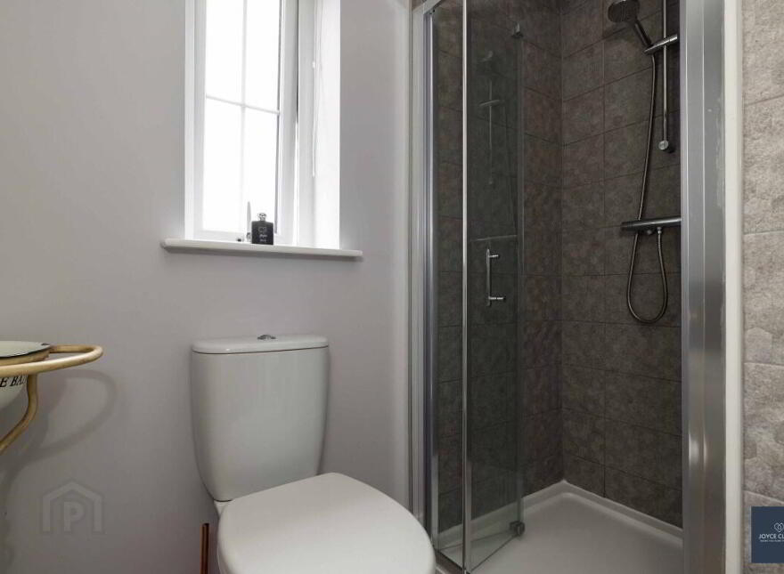117 Drumford Meadow, Portadown, BT63 5BH