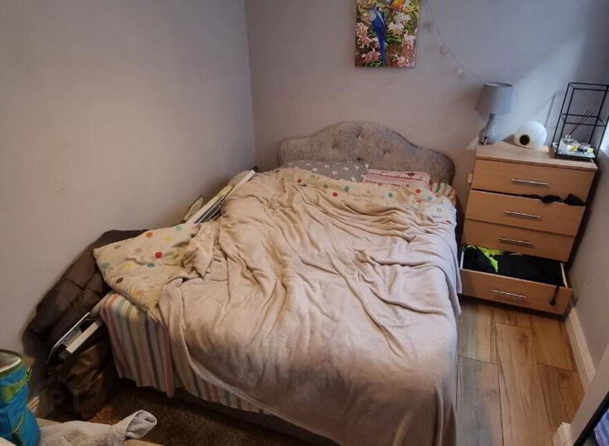Apartment 1 28 Stranmillis Gardens, Belfast, BT9 5AS