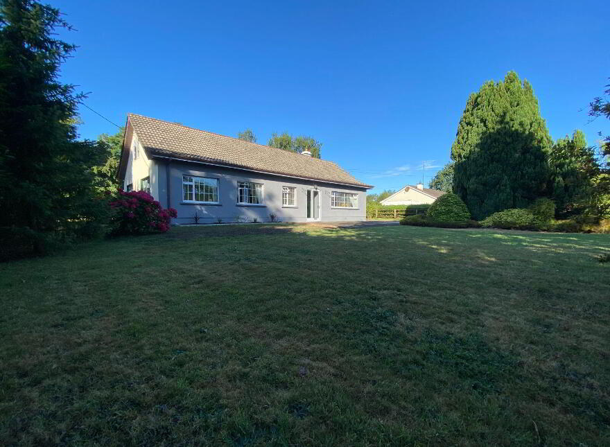 Macetown, Tara, C15EE39