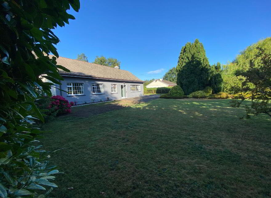 Macetown, Tara, C15EE39