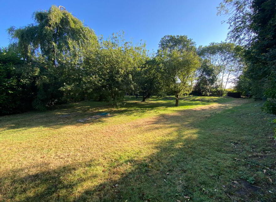 Macetown, Tara, C15EE39