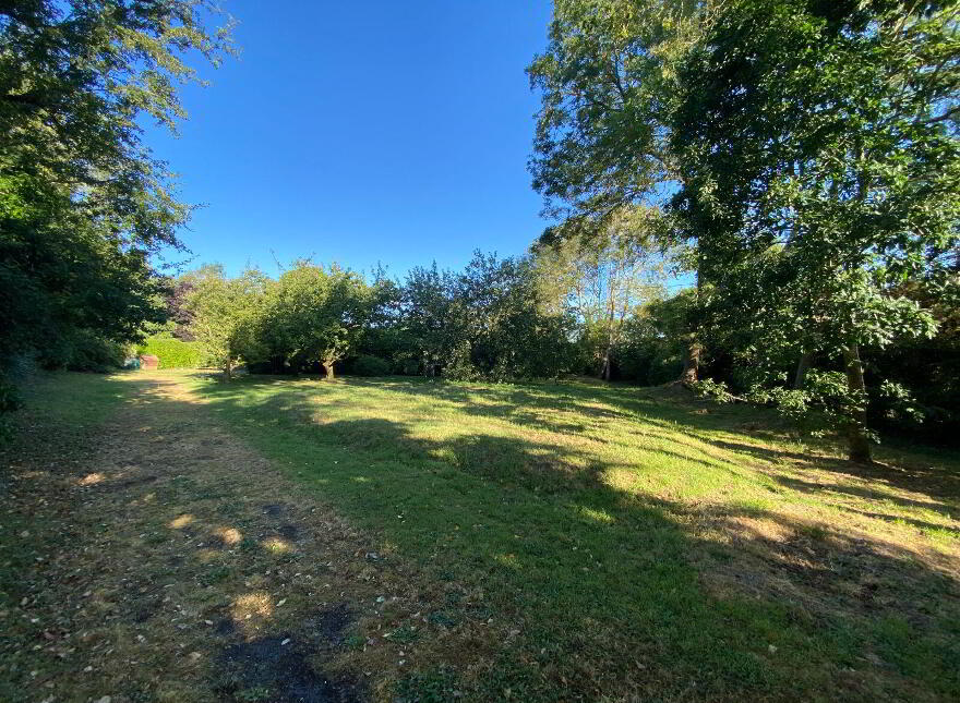 Macetown, Tara, C15EE39