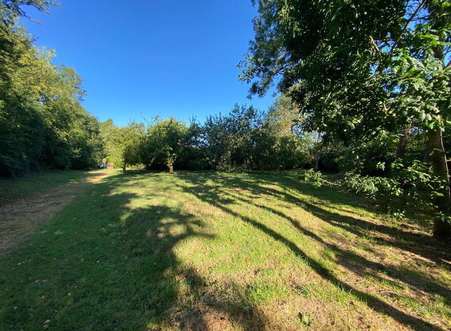 Macetown, Tara, C15EE39