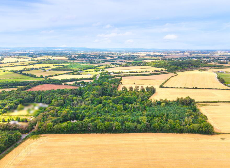 An Dair Bheag, Russelstown, Palatine, R93HX76