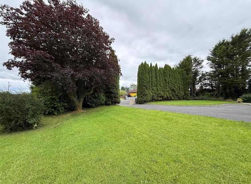 Convent Road, Ballaghaderreen, F45DK19
