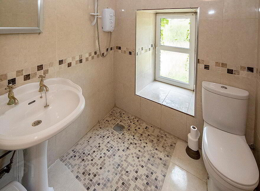 Vine Park House, Conna, P51E6C3