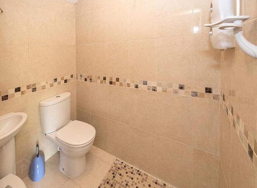 Vine Park House, Conna, P51E6C3