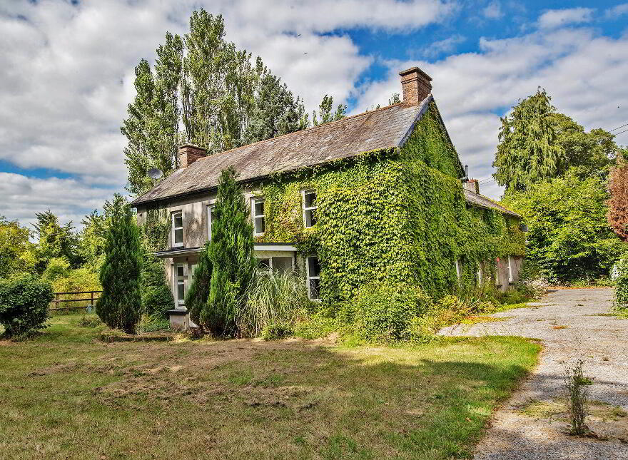 Vine Park House, Conna, P51E6C3