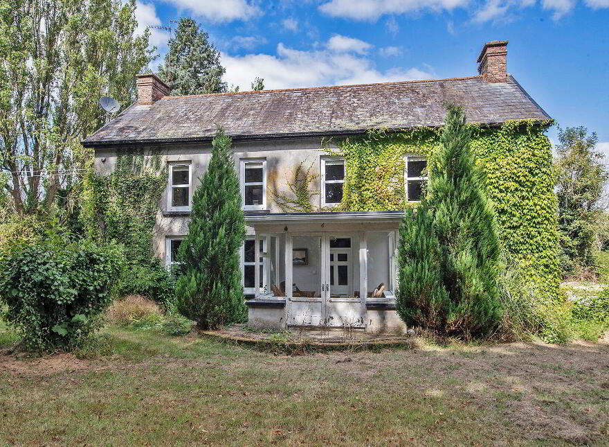 Vine Park House, Conna, P51E6C3
