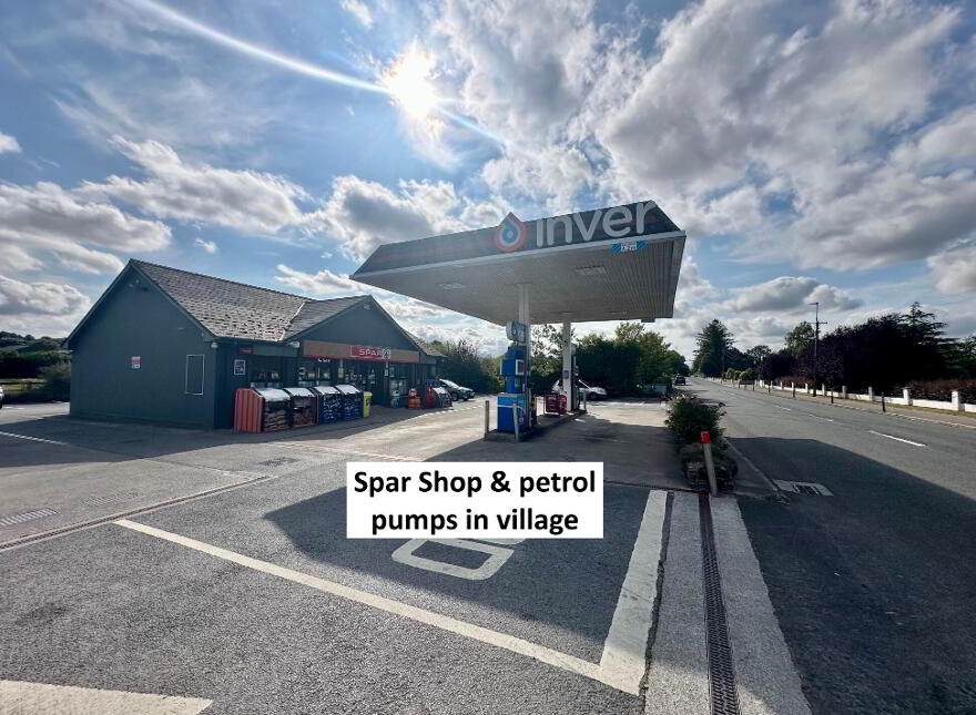 Vine Park House, Conna, P51E6C3