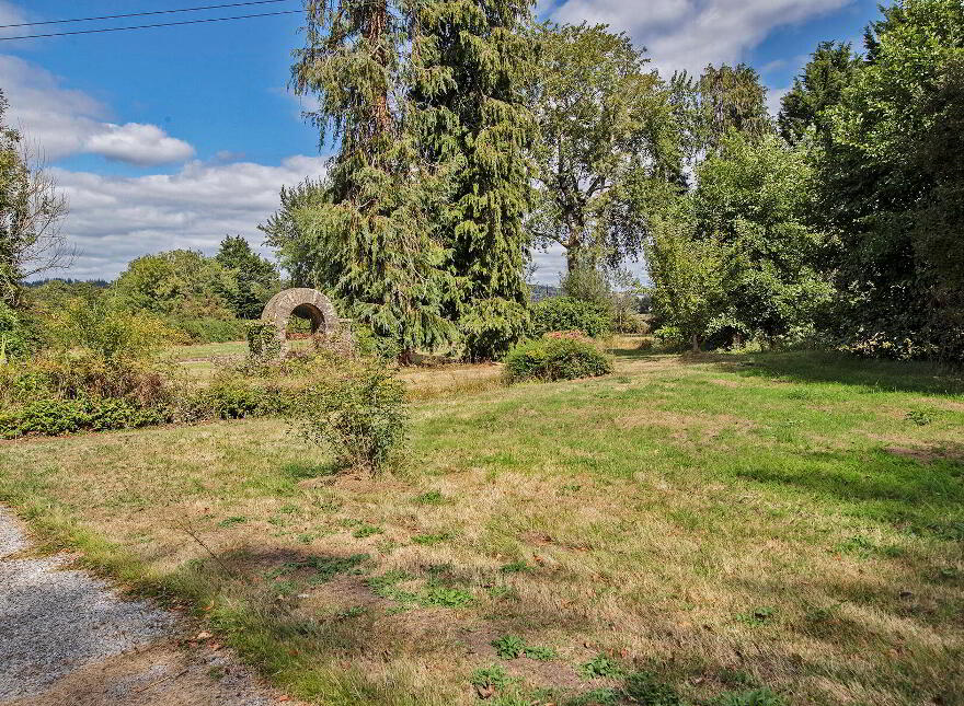Vine Park House, Conna, P51E6C3