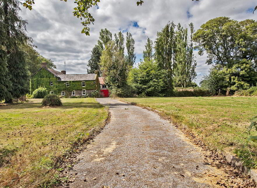 Vine Park House, Conna, P51E6C3