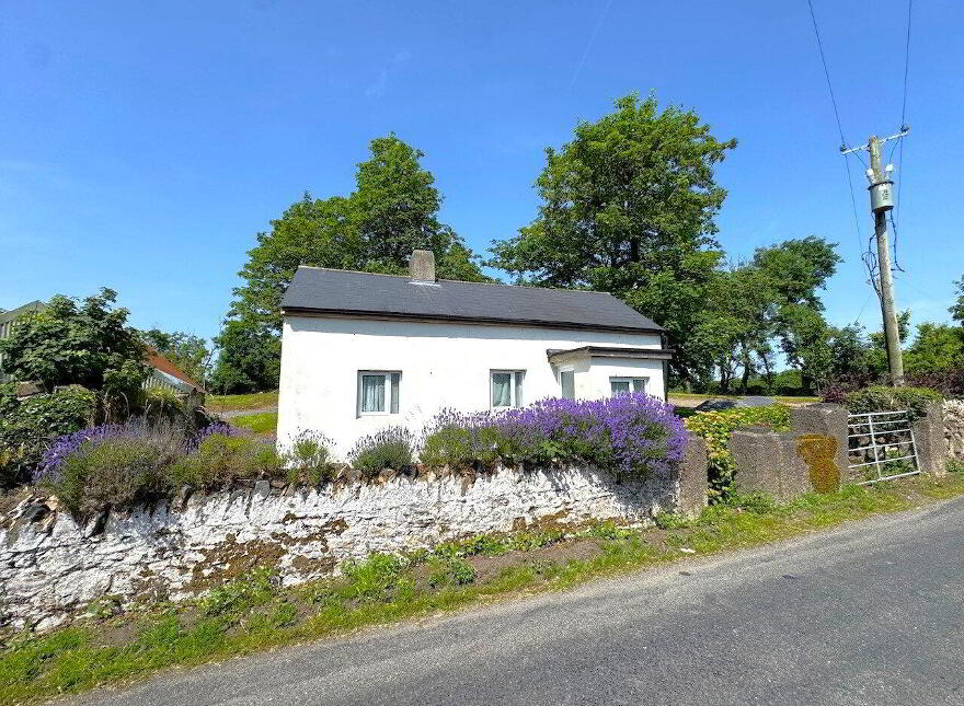 Ballinlough, Kill, X42H677