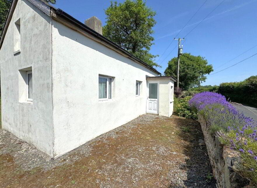 Ballinlough, Kill, X42H677