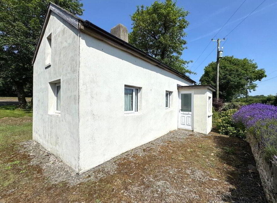Ballinlough, Kill, X42H677