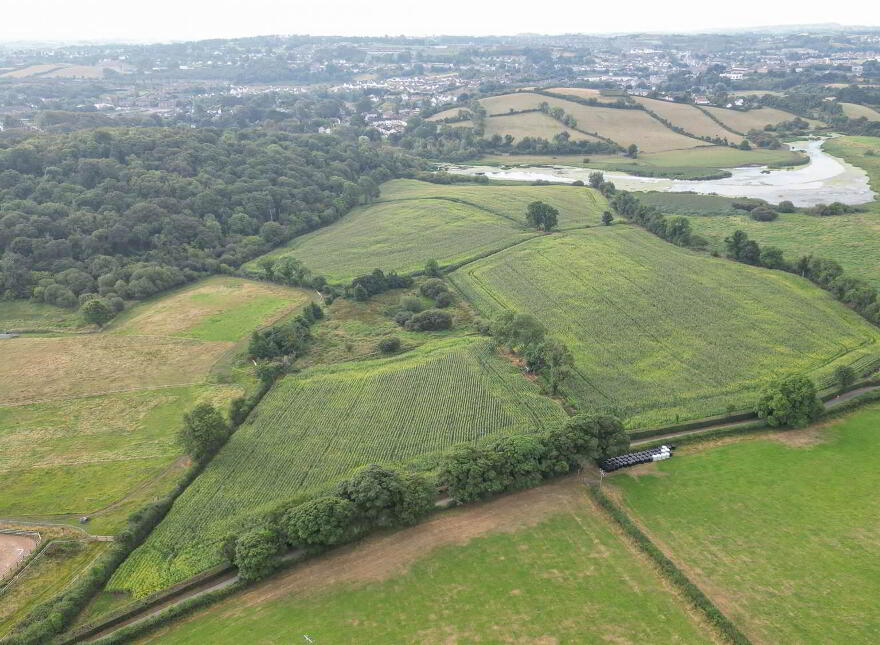 Cotterhill Road, Downpatrick, BT30 9AX