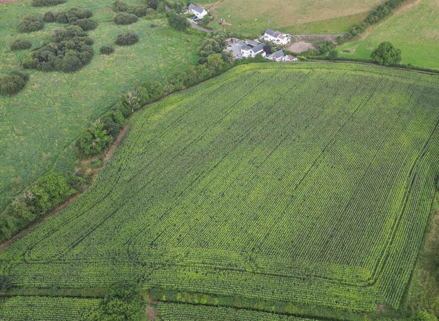 Cotterhill Road, Downpatrick, BT30 9AX