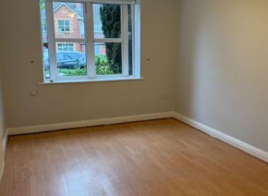 65 Boroimhe Hawthorns, Swords, K67TW98