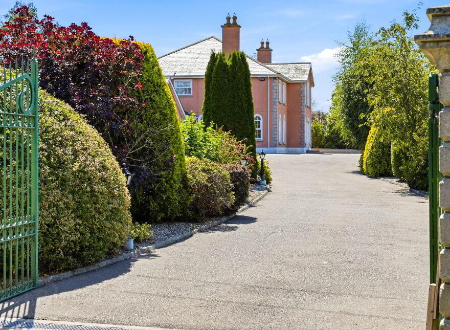 Mount Alexander, Gorey, Y25FN24