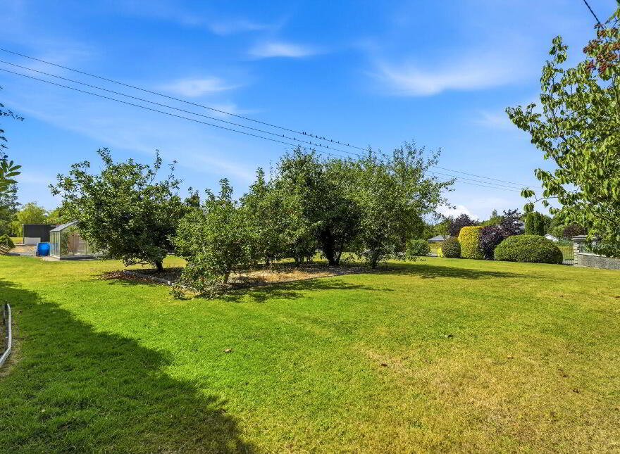 Mount Alexander, Gorey, Y25FN24