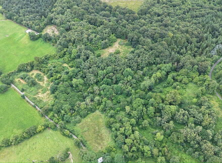 Lands, At Kylatlea, Mullinahone, E41R295