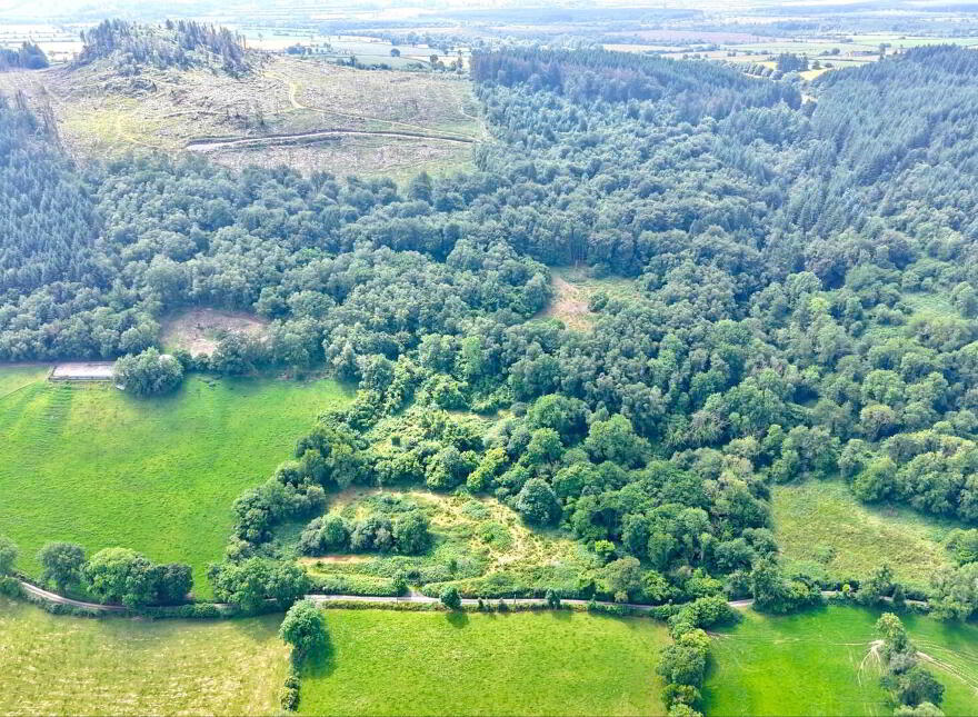 Lands, At Kylatlea, Mullinahone, E41R295