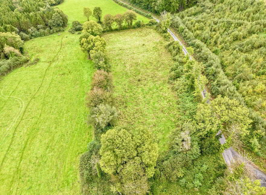 Boherboy, Mullinahone