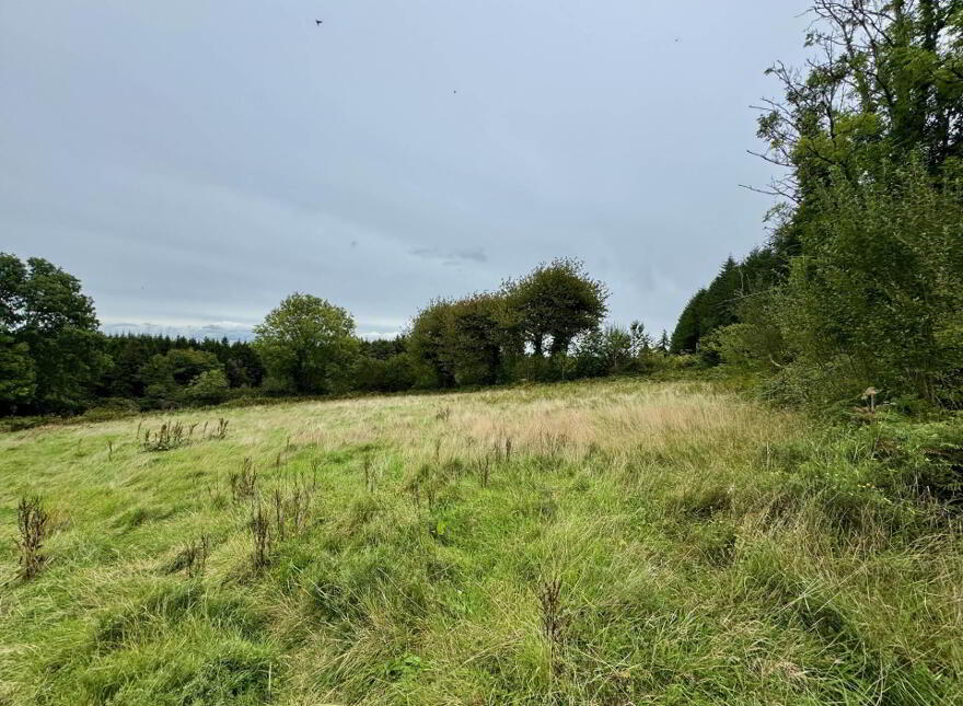 Boherboy, Mullinahone