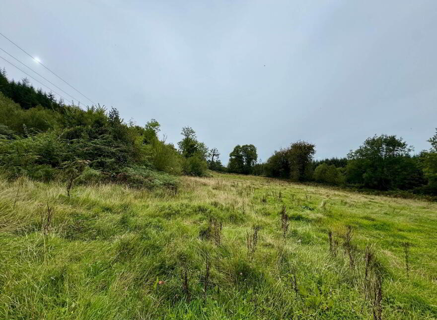 Boherboy, Mullinahone