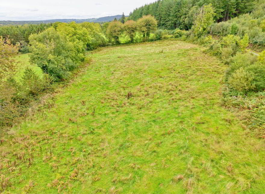Boherboy, Mullinahone