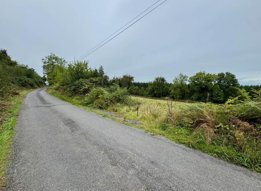 Boherboy, Mullinahone