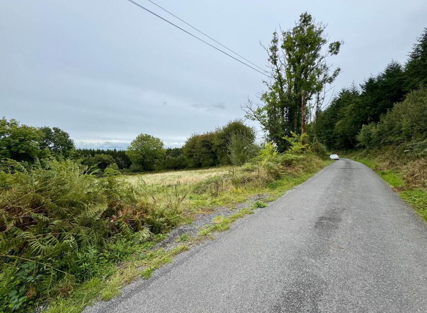 Boherboy, Mullinahone