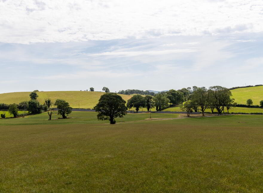 Lands At, Ballytrim Road, Crossgar, BT30 9LD