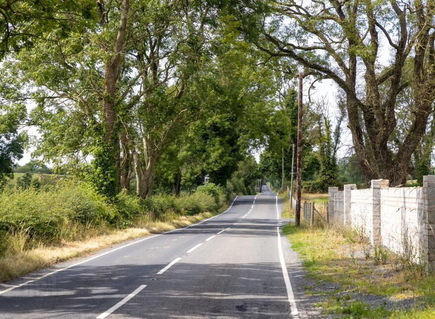 Lands At, Ballytrim Road, Crossgar, BT30 9LD