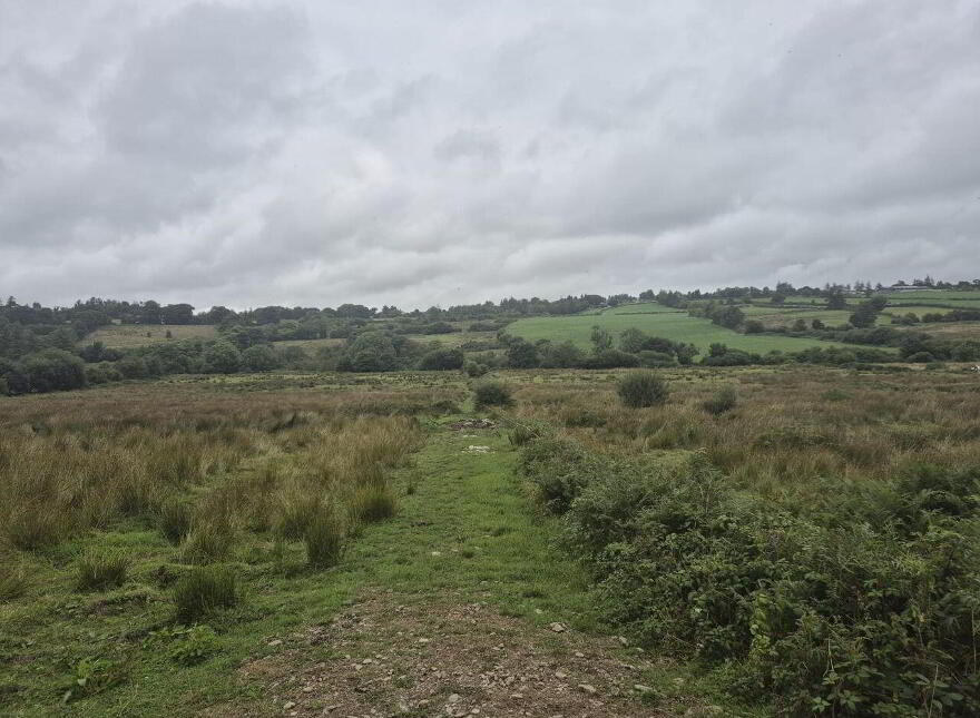 Carrigeen, Brosna