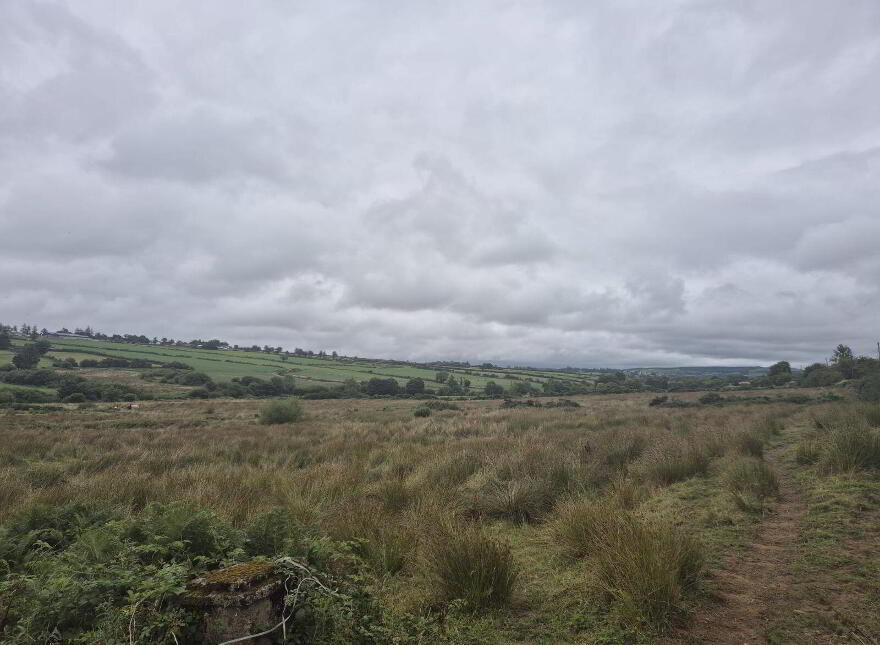 Carrigeen, Brosna