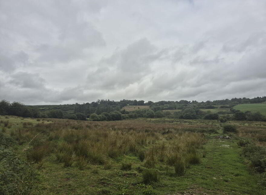 Carrigeen, Brosna