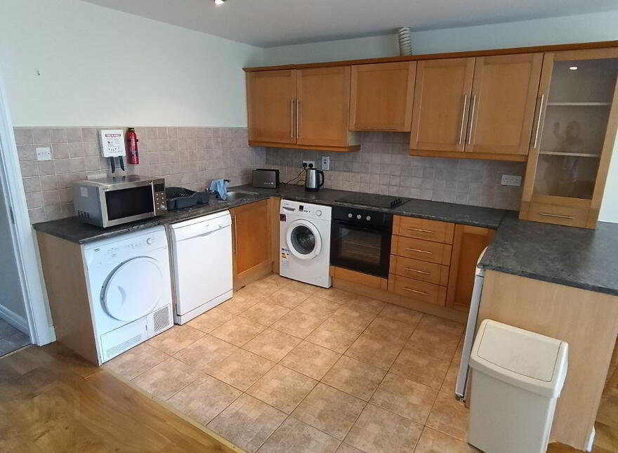 Dooradoyle Park, Dooradoyle, V94E542