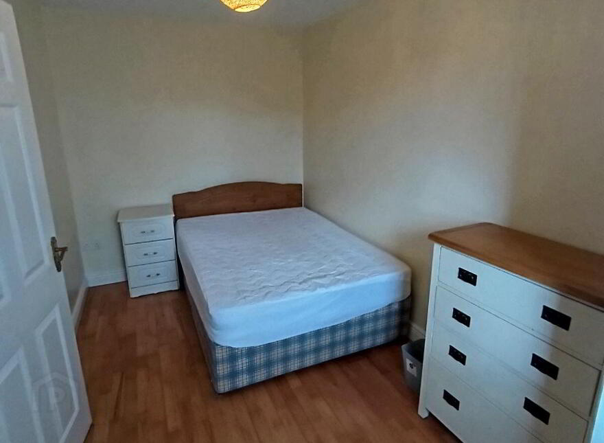 Dooradoyle Park, Dooradoyle, V94E542